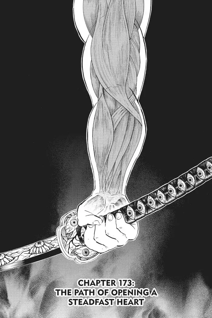 Demon Slayer Chapter 173 image 01_optimized